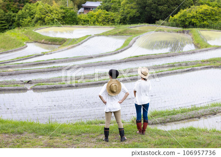 rice field and young couple 106957736