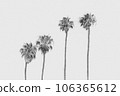 Pencil sketch of four palm trees on white background 106365612