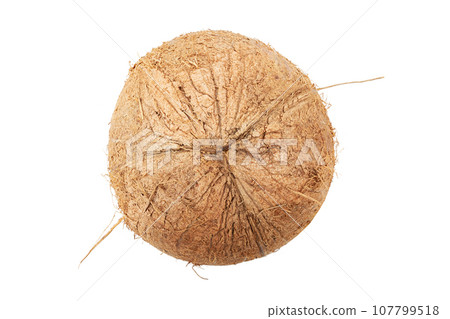 Whole coconut isolated on white background. Full depth of field. 107799518