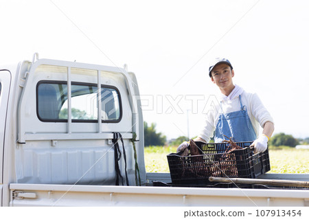 A man shipping vegetables from the field 107913454