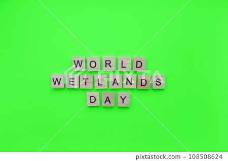 February 2, World Wetlands Day, minimalistic banner with the inscription in wooden letters 108508624