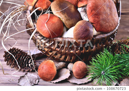 Edible mushrooms, porcini and boletus in a wicker basket on a natural wooden background closeup 108670723