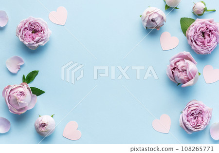 Pink rose flowers on pastel blue background 108265771