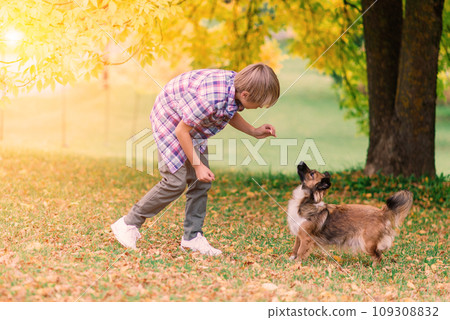 Cute boy playing and walking with his dog in a meadow. 109308832