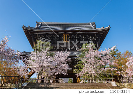 Spring view of the main gate of Konkai Komyoji Temple, Kyoto 110843334