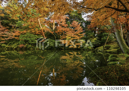 Kenrokuen Garden with beautiful late autumn leaves 110298105