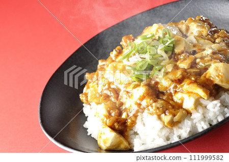 Piping hot mapo bowl topped with plenty of tofu and green onion 111999582