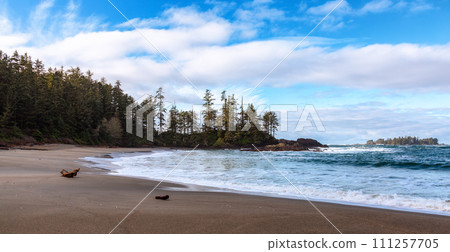 Sandy Beach on West Coast Pacific Ocean Coast. Ucluelet and Tofino, Vancouver Island, BC, Canada 111257705