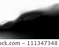 Abstract soft flowing background in black and white colors 111347348