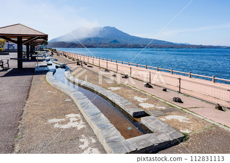 Roadside Station Tarumizu Footbath and Sakurajima 112831113