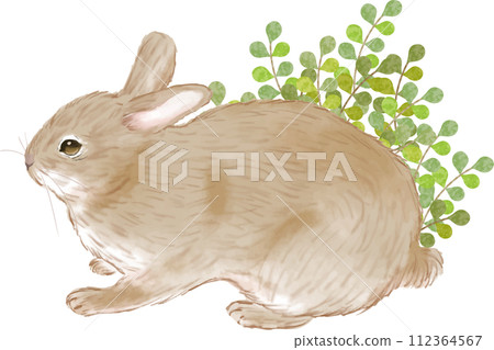 Plant bushes and cute rabbit 112364567