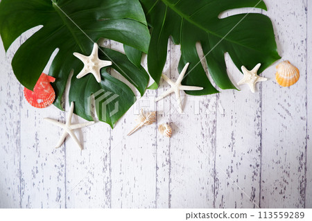 White board with tropical leaves and colorful shells 113559289