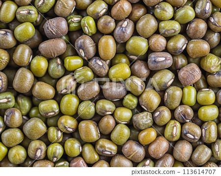 smooth background consisting of beans of mung bean soybeans. Green and brown grains are evenly distributed along the surface. Horizontal orientation. top view, flat lay 113614707