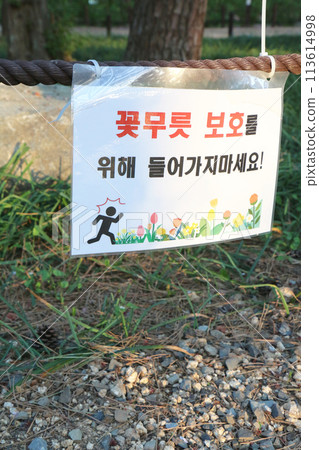 A warning sign saying "Please do not enter to protect the red spider lilies" (Korea) 113614998