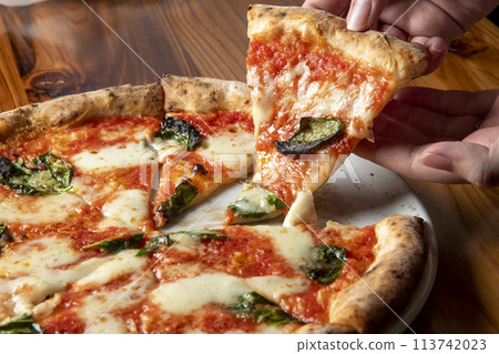 Delicious tomato sauce and cheese pizza 113742023