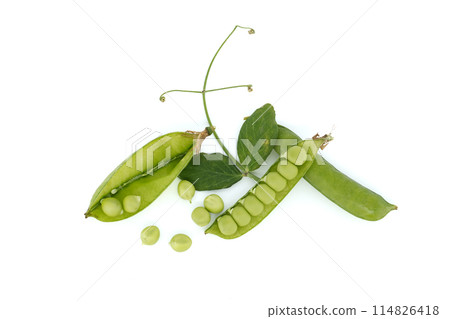 Pea pods surrounded by a green leaf with a pointed tip 114826418