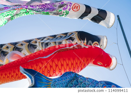 Koinobori/May image 114099411