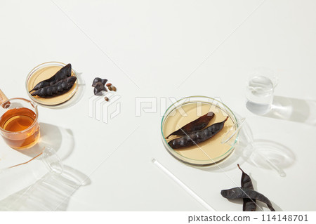 Lab theme on white texture from above view, different type of lab glasses flat lay on table decorated by black locust fruits and locust extract, vacant space for adding text or elements of design 114148701