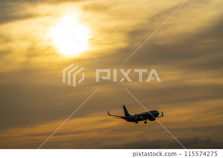 Sendai Airport at dusk, airplane landing, Natori City, Miyagi Prefecture 115574275