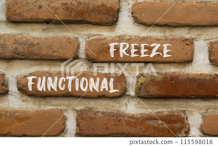 Functional freeze symbol. Concept words Functional freeze on beautiful brick wall. Beautiful red brown brick wall background. Business psychology functional freeze concept. Copy space. 115598016