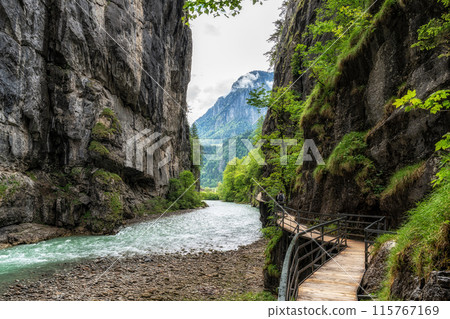 Aare Gorge in Switzerland 115767169