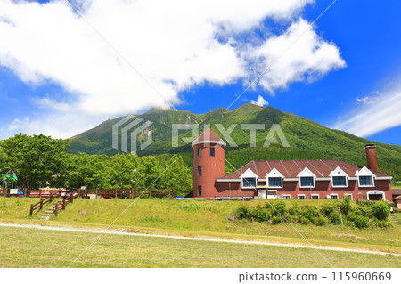 [Oita Prefecture] Guernsey Ranch and the Kuju Mountains on a sunny day 115960669