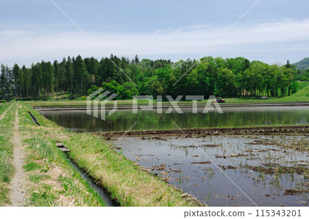 Japanese Rural Scenery: Rice Planting Season 115343201