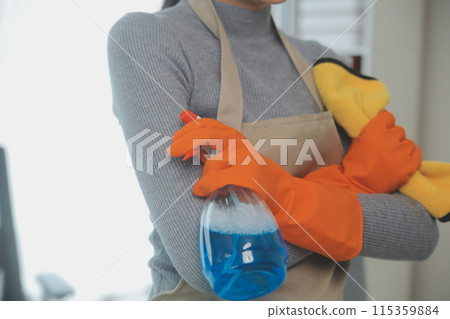 Woman cleaning table using rag and diffuser at home. 115359884