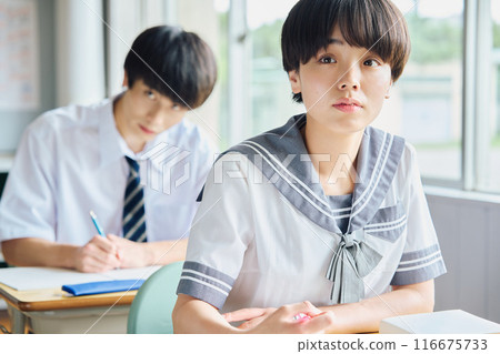 High school students studying 116675733