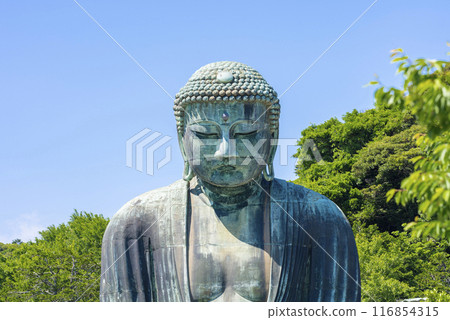 Kamakura Great Buddha 116854315