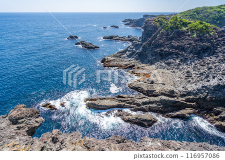 伊豆半島最南端的伊呂崎，風景優美的海角，壯麗的太平洋全景 116957086