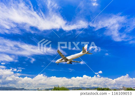 Osaka Airport (Itami Airport) in summer, landing plane, Toyonaka City, Osaka Prefecture 116109053