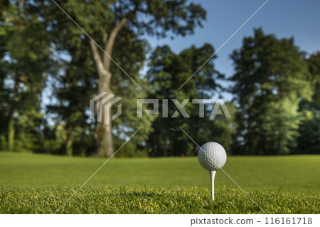 Golf ball on the golf course 116161718