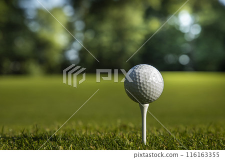 Golf ball on the golf course 116163355