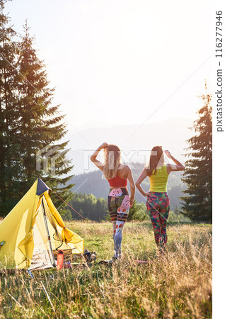 Two women travellers camping in mountains. Back view of young females, friends traveling in hills, hiking. Slim, sporty women standing near tent, posing. Concept of harmony with nature. 116277946