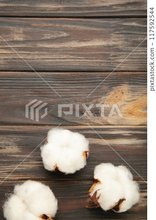 Cotton plant flower on brown wooden background 117592544