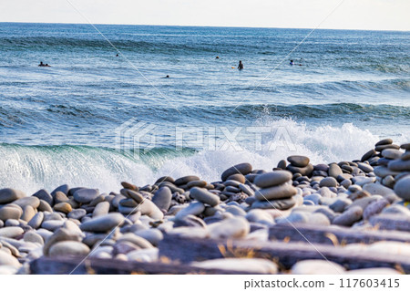 Nariishi Beach and the Surfers 117603415