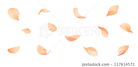 Beautifully dancing petals vector material 117614572