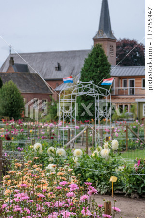 Landscape near Eibergen in the dutch gelderland 117755947