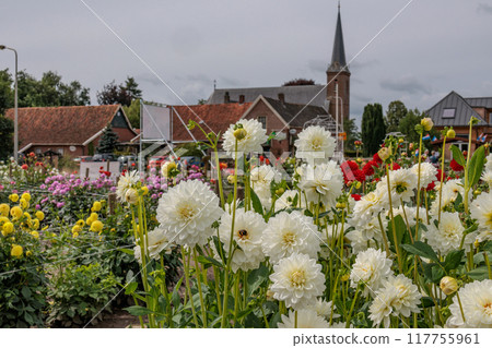 Landscape near Eibergen in the dutch gelderland 117755961