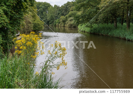 Landscape near Eibergen in the dutch gelderland 117755989