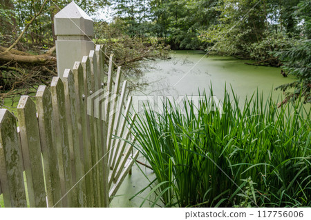 Landscape near Eibergen in the dutch gelderland 117756006