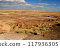 Harsh Landscape Petrified Forest National Park Arizona 117936305