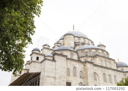 Suleymaniye Camii Mosque, Ottoman imperial Mosque in Fatih district in historic Istanbul, Turkiye. Historic Istanbul, UNESCO World Heritage. Horizontal Plane. Green Try, Sky. 117003292