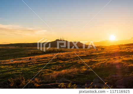 Utsukushigahara - Evening scenery 117116925