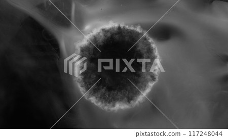 Abstract Atmospheric White Smoke Texture Background on Black 117248044