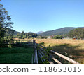 View of Hoverla Mountain in the Carpathians from the countryside grows green grass and fence horizontal 118653015