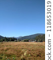 View of Hoverla Mountain in the Carpathians from the countryside grows green grass and a design for drying grass vertical 118653019