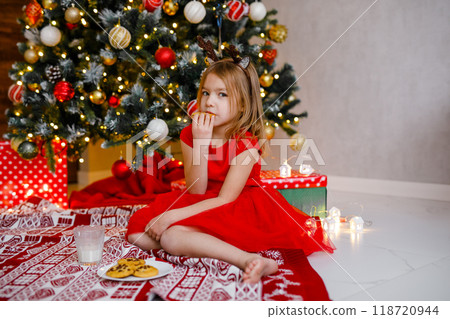 A close-up of a pinecone and a ball with a snowflake on a branch of a Christmas fir. 118720944