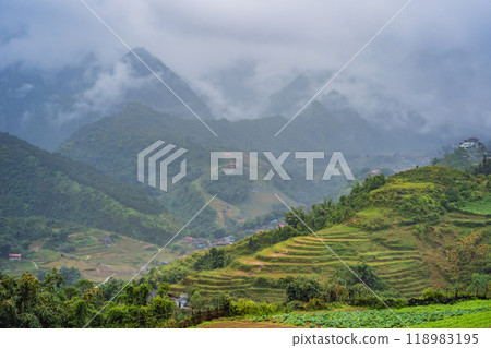 Rice terraces in the fog in Sapa, Vietnam. Rice fields prepare the harvest at Northwest Vietnam. Vietnam opens to tourism after quarantine Coronovirus COVID 19 118983195